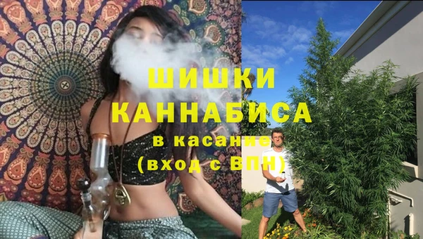 спайс Алексин