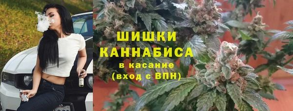 спиды Алзамай