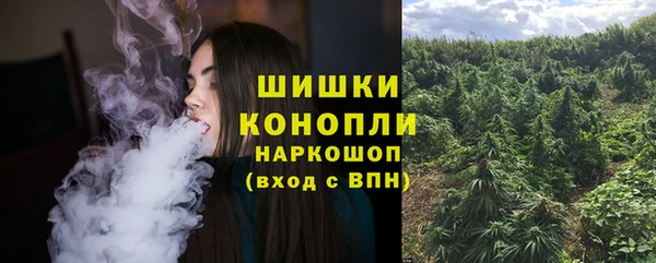 спайс Алексин